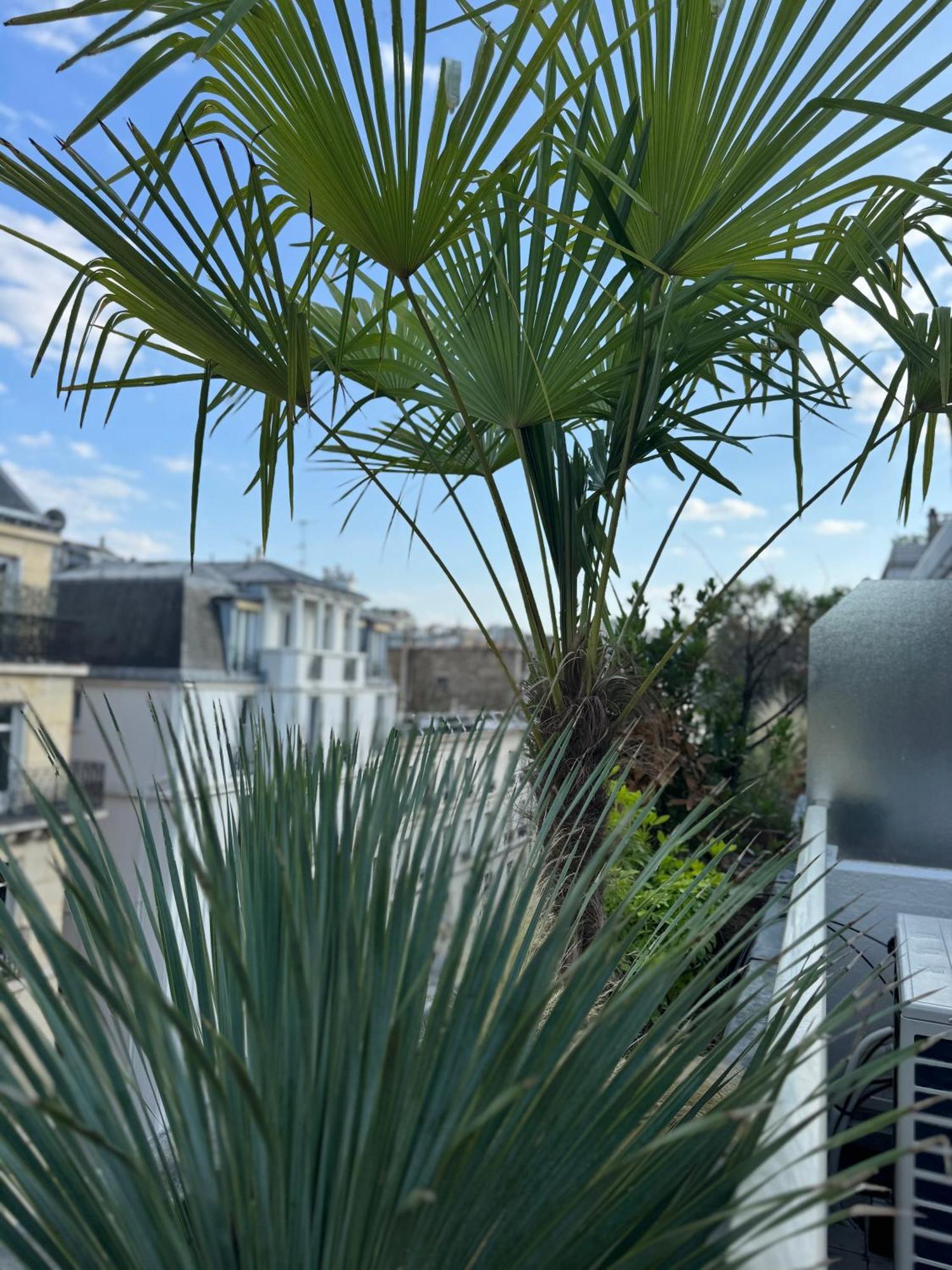 Les Terrasses De L Arc Apartment *